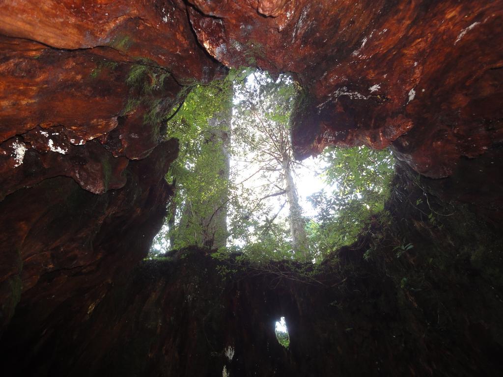 Pension Blue Drop Yakushima  Exterior foto